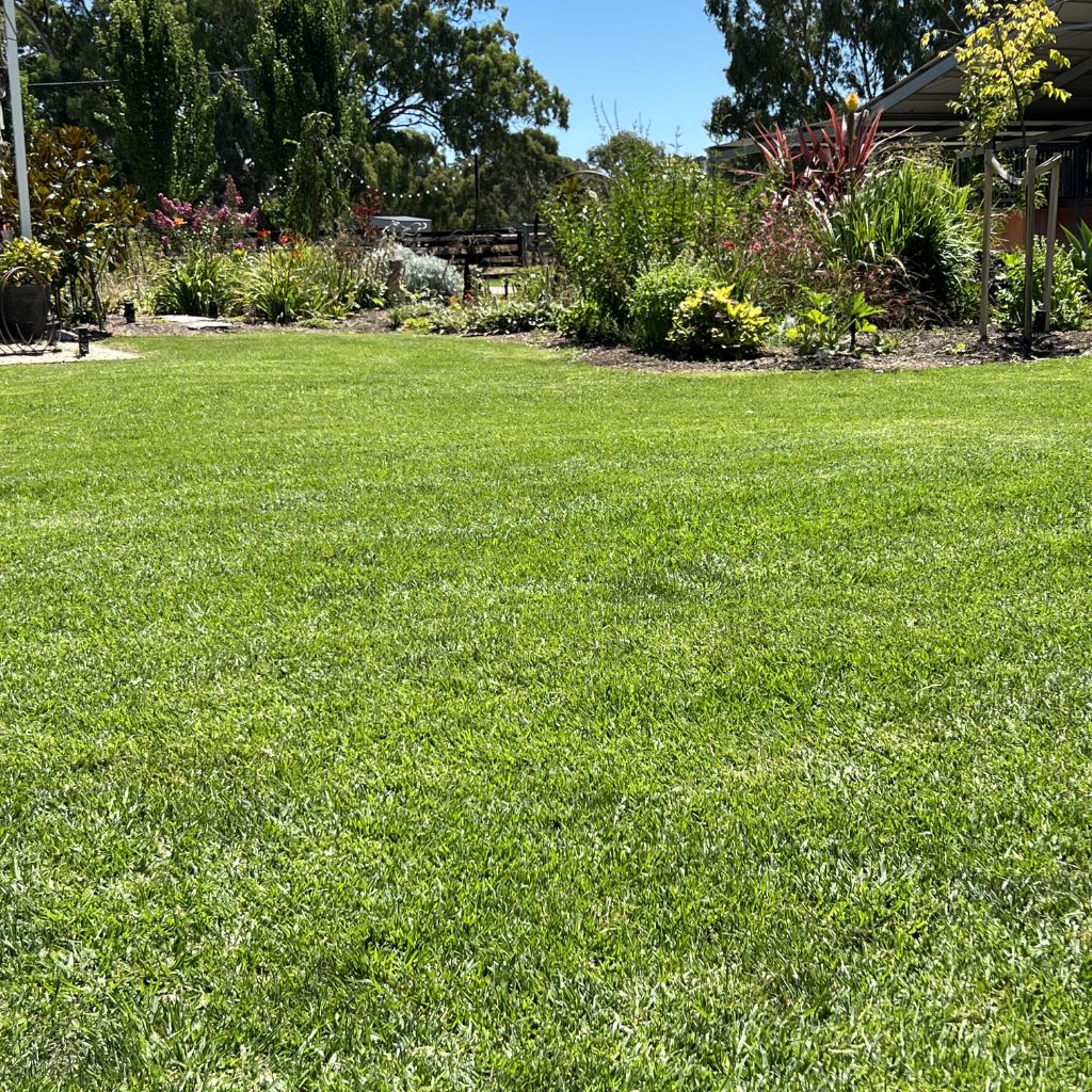 A professional lawn installation showing a perfectly leveled, lush green residential lawn by Quick Grass Solutions.