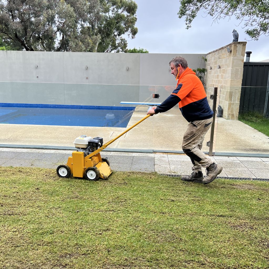 Professional lawn renovations including core aeration and dethatching by Quick Grass Solutions.