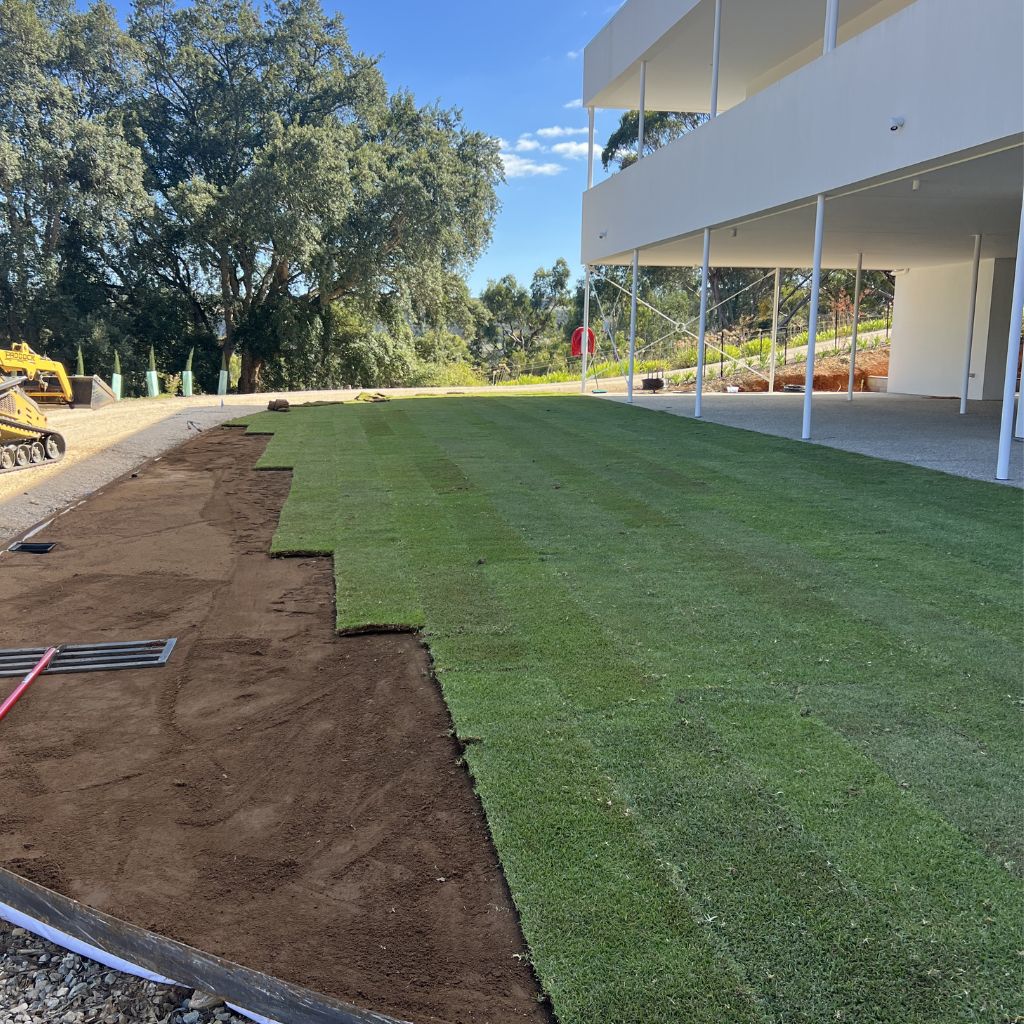 Professional installation of premium instant turf rolls for a new residential lawn.