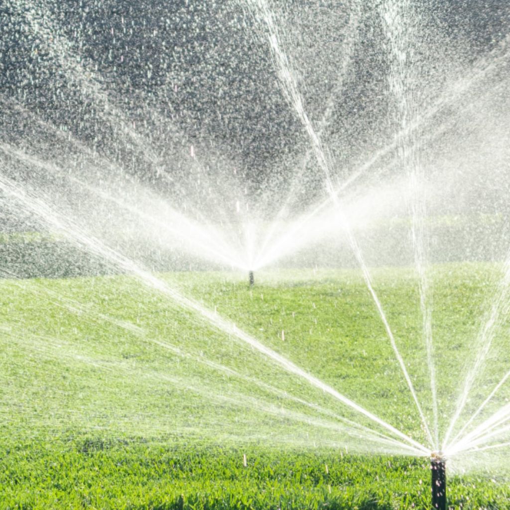 An automated pop-up sprinkler system being professionally installed in a residential garden by Quick Grass Solutions.